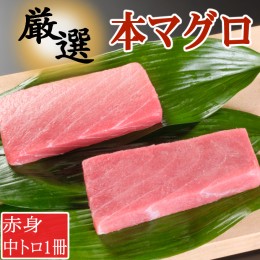 【ふるさと納税】厳選本マグロ赤身、中トロ食べくらべ【誉丸】