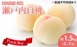 【ふるさと納税】桃 2024年 先行予約 瀬戸内 白桃 約1.5kg 5〜7玉 岡山県 フルーツ もも 桃 モモ ピーチ 人気 新鮮 フルーツ 桃 デザート