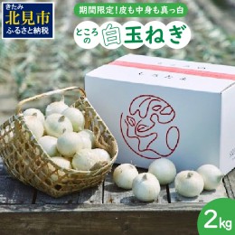 【ふるさと納税】【予約：2024年7月中旬から順次発送】ところの白玉ねぎ 2kg ( 玉ねぎ タマネギ 玉葱 野菜 白玉ねぎ 2キロ 期間限定 辛み