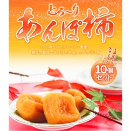 【ふるさと納税】和歌山県産 あんぽ柿（大10個セット） 紀の里農業協同組合 《90日以内に出荷予定(土日祝除く)》 和歌山県 紀の川市