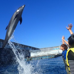 【ふるさと納税】浅瀬ふれあい体験１名（５歳以上小学生）