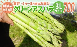 【ふるさと納税】先行予約 アスパラ 3Lサイズ 700g 朝採り 直送 夏芽 グリーンアスパラガス 数量限定 朝採れ 【2024年6月から8月お届け】