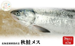 【ふるさと納税】【国内消費拡大求む】先行予約 北海道 湧別港直送 秋鮭 メス 3kg以上（丸1本）納期指定不可 さけ サケ いくら 筋子 国産