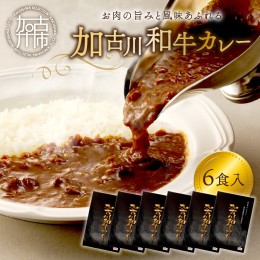 【ふるさと納税】加古川和牛カレー(6食入)《 おすすめ カレー 人気 和牛カレー カレーメシ レトルト おいしい お取り寄せ ギフト 一人暮