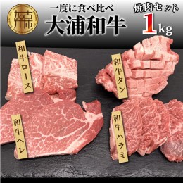 【ふるさと納税】大浦和牛焼肉セット（1kg）