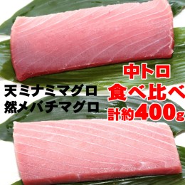 【ふるさと納税】こだわりの天然ミナミマグロ　天然メバチマグロ食べくらべセット　中トロ各1柵