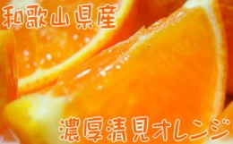 【ふるさと納税】【先行予約】【春の美味】【農家直送】濃厚清見オレンジ（ご家庭用）約5kg ※2025年2月下旬〜4月中旬頃に順次発送予定 