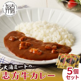 【ふるさと納税】大浦ミートの志方牛カレー　5個セット