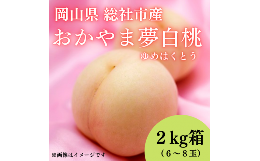 【ふるさと納税】白桃「おかやま夢白桃（2kg箱）」岡山県総社市産【2024年産先行予約】24-026-004