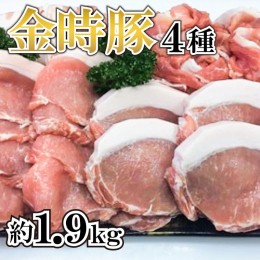 【ふるさと納税】国産 豚肉 切り落とし 1.92kg ロース バラ セット 4種 阿波の金時豚