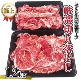 【ふるさと納税】黒毛和牛 国産 牛肉 切り落とし 小分け 1.2kg 600g×2p とくしま三ツ星ビーフ