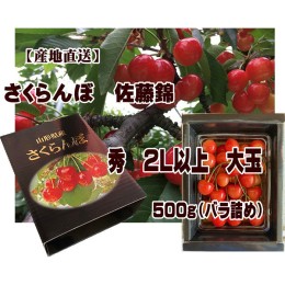 【ふるさと納税】[産地直送] 大玉さくらんぼ 佐藤錦 2L以上 大玉 500g(バラ詰め) 【令和6年産先行予約】FU22-122