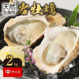 【ふるさと納税】【2024/4月〜発送】延岡市産　天然岩牡蠣（生食用）中サイズ250g程度　計2kg N124-ZA378