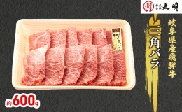 【ふるさと納税】飛騨牛 希少部位 三角バラ 焼肉 セット 600g 牛肉