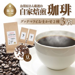 【ふるさと納税】お茶屋さん厳選の自家焙煎コーヒー3袋（グアテマラ 1種/お任せ2種/豆）