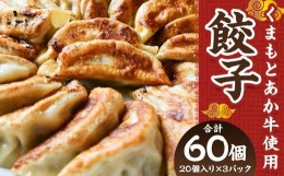 【ふるさと納税】くまもと あか牛 100％ 餃子 60個 (20個入り×3) ぎょうざ