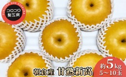 【ふるさと納税】梨 新高梨 甘熟 味に自信あり！！約5kg 5〜10玉入 配送不可 離島