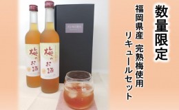 【ふるさと納税】【数量限定】梅のお酒 500ml×2本セット