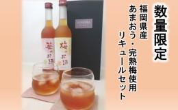 【ふるさと納税】【数量限定】濃いめのお酒 飲み比べ 500ml×2本セット（苺のお酒/梅のお酒）