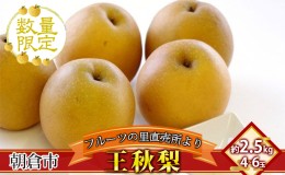 【ふるさと納税】梨 フルーツの里の直売所より 王秋梨 2.5kg お届け：2024年11月20日〜12月10日