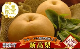 【ふるさと納税】フルーツの里の直売所より 新高梨 2.5kg