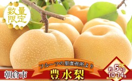 【ふるさと納税】フルーツの里の直売所より 豊水梨 5kg