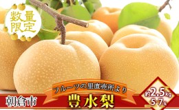 【ふるさと納税】フルーツの里の直売所より 豊水梨 2.5kg