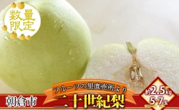 【ふるさと納税】フルーツの里の直売所より 二十世紀梨 2.5kg