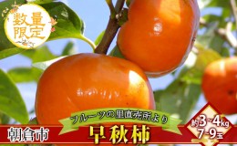 【ふるさと納税】フルーツの里の直売所より 早秋柿