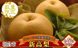 【ふるさと納税】フルーツの里の直売所より 新高梨 5kg