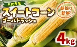 【ふるさと納税】熊本県八代市産 スイートコーン ゴールドラッシュ 4kg とうもろこし 朝採り 高糖度