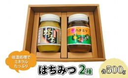 【ふるさと納税】はちみつ セット 各500g×2個 レンゲブレンド 野山のハチミツ 詰め合わせ 食べ比べ 蜂蜜 ハチミツ