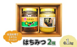 【ふるさと納税】はちみつ セット 各1kg×2個 レンゲブレンド 野山のハチミツ 詰め合わせ 食べ比べ 蜂蜜 ハチミツ