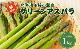 【ふるさと納税】北海道 グリーンアスパラガス 約1kg M-L サイズ混合 アスパラガス アスパラ 朝採れ 採れたて 新鮮 野菜 農作物 産直 国