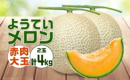 【ふるさと納税】北海道 赤肉メロン 大玉 約2kg 2玉 メロン 赤肉 果物 フルーツ 甘い 完熟 スイーツ デザート 産直 国産 贈答品 お祝いギ