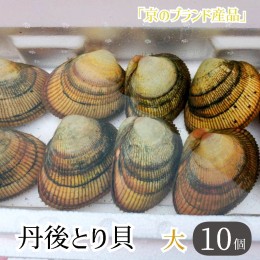 【ふるさと納税】舞鶴産丹後とり貝 大 10個入 151〜169g/個 合計1.5kg〜1.6kg【送料無料】