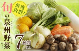 【ふるさと納税】旬の野菜セット 詰め合わせ 7種類以上 国産 新鮮 お試し おまかせ お楽しみ 005A443
