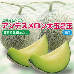 【ふるさと納税】SA2034　庄内砂丘メロン アンデスメロン(青肉) 大玉2玉　計3.6kg以上　つる付き