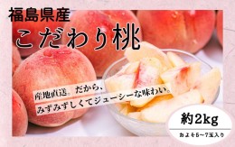 【ふるさと納税】◆2024年夏発送◆＜ 産直・こだわり桃・約2kg ＞ ※着日指定不可 ※離島への配送不可 ※2024年7月中旬〜9月中旬頃に順次