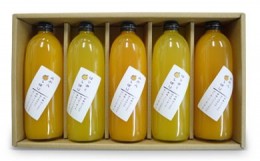 【ふるさと納税】旬の柑橘 贅沢しぼりジュースの詰め合わせ ５本セット