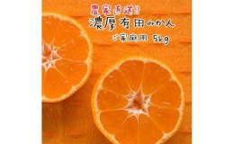 【ふるさと納税】ご家庭用 訳あり 有田 みかん 5kg【わけあり】 みかんの本場和歌山有田より農家直送！【11月中旬〜１月上旬発送】