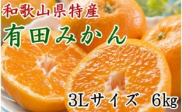 【ふるさと納税】[秀品]和歌山有田みかん約6kg(3Lサイズ) ★2024年11月中旬頃より順次発送