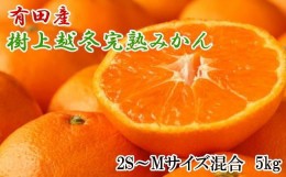 【ふるさと納税】【濃厚・まろやか】有田産樹上越冬完熟みかん5kg（2S〜Mサイズ混合・秀品）★2025年1月下旬頃より順次発送