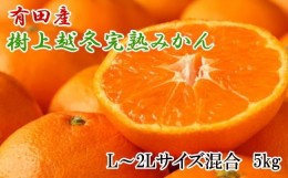 【ふるさと納税】【濃厚・まろやか】有田産樹上越冬完熟みかん5kg（L〜2Lサイズ混合・秀品）★2025年1月下旬頃より順次発送