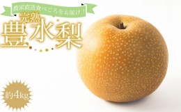 【ふるさと納税】【先行予約・数量限定品】農家直送食べ頃をお届け！豊水梨　約４ｋｇ