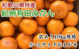 【ふるさと納税】[訳あり]和歌山有田みかん約10kg(S〜Lサイズいずれかお届け）★2024年11月中旬頃より順次発送