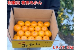 【ふるさと納税】【秀品・サイズＬ】まる隆果樹園　和歌山有田産！早生みかん≪5ｋｇ≫【予約販売】【数量限定】