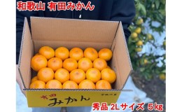 【ふるさと納税】【秀品・サイズ２Ｌ】まる隆果樹園　和歌山有田産！早生みかん≪5kg≫【予約販売】【数量限定】