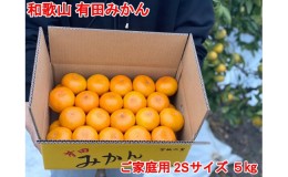 【ふるさと納税】【ご家庭用・サイズ２Ｓ】早生みかん≪5kg≫和歌山有田産！【予約販売】【数量限定】まる隆果樹園