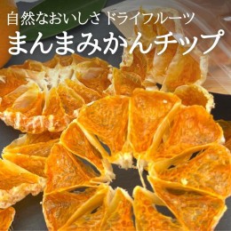 【ふるさと納税】ドライフルーツ みかんチップ 100g ( 20g × 5袋 ) 和歌山県産 果物使用 自社製造 【みかんの会】